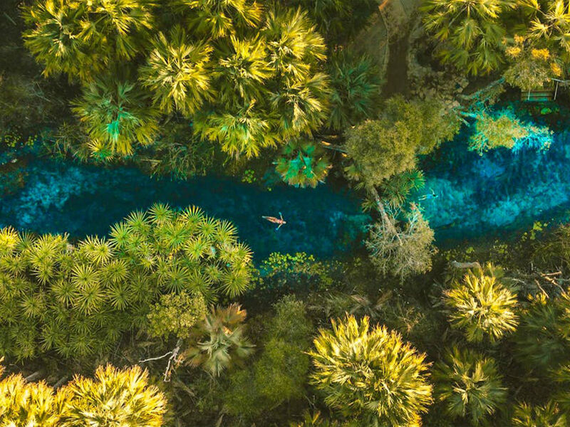 Mataranka Thermal Pool