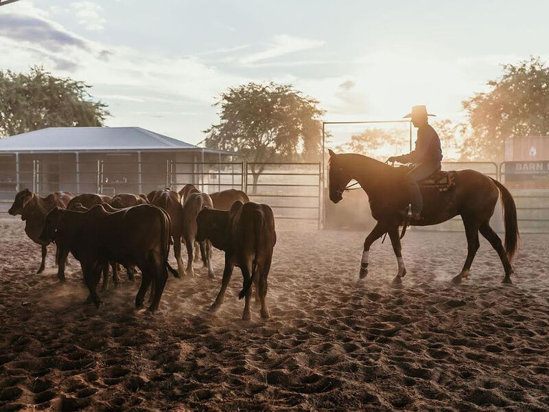 Tom Curtins Katherine Outback Experience