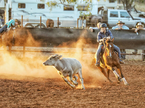 Mataranka Never Never Festival Campdraft - Mataranka Roadhouse