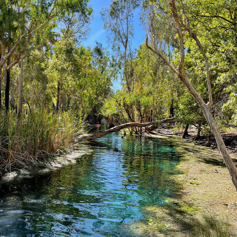 Bitter Springs - Mataranka Roadhouse