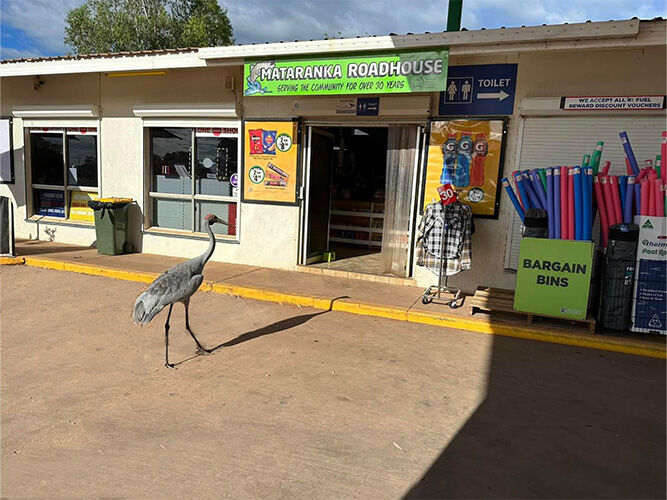 Mataranka Roadhouse NT Mataranka Roadhouse NT
