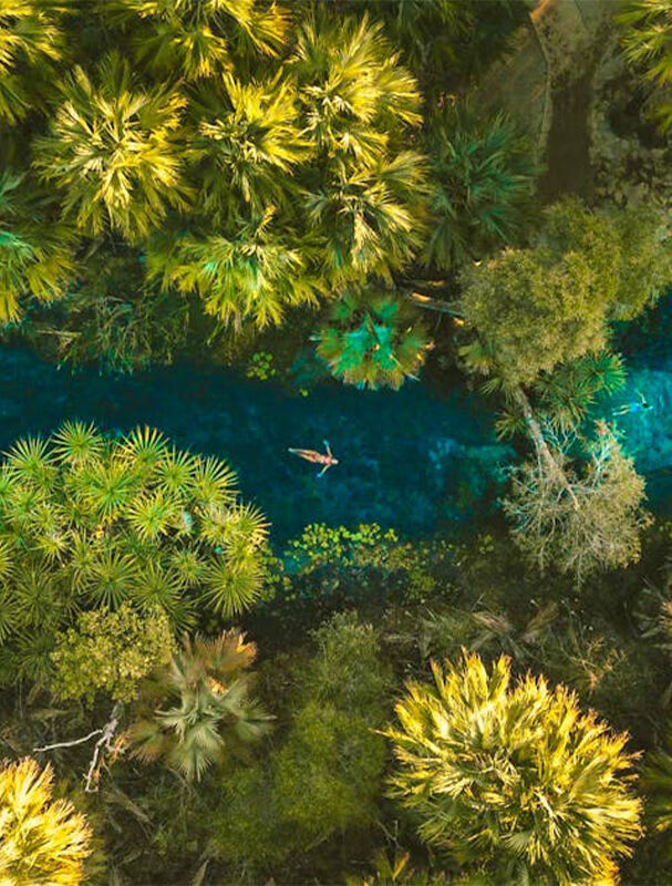 Attractions in Mataranka